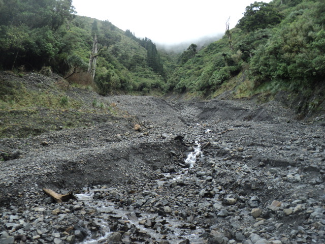 Name:  picture 01 3826.jpg
Views: 248
Size:  163.1 KB
