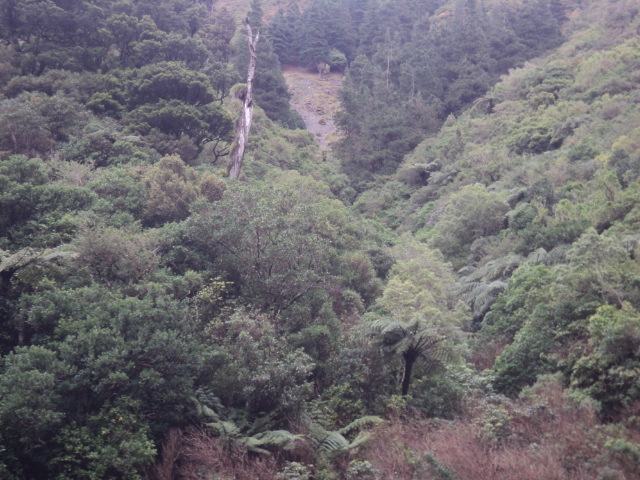 Name:  picture 01 3828.jpg
Views: 250
Size:  164.7 KB