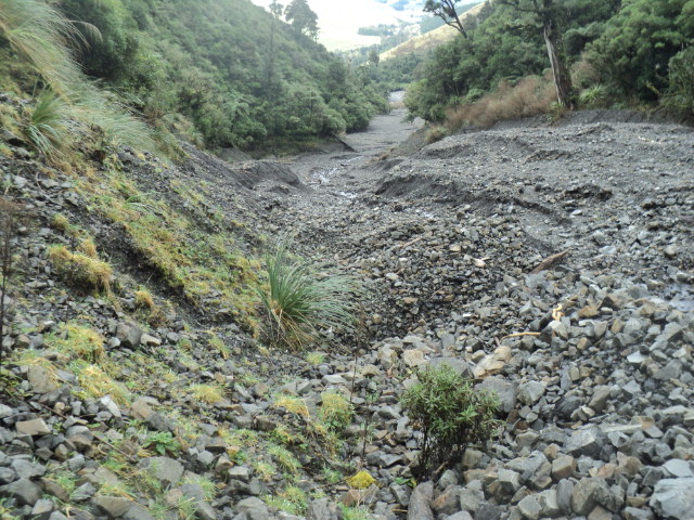 Name:  picture 01 3832.jpg
Views: 263
Size:  164.6 KB