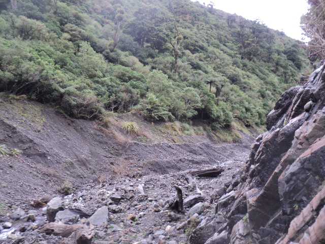 Name:  picture 01 3833.jpg
Views: 250
Size:  164.5 KB