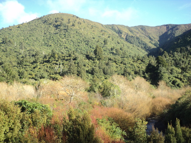 Name:  picture 01 3841.jpg
Views: 425
Size:  163.3 KB
