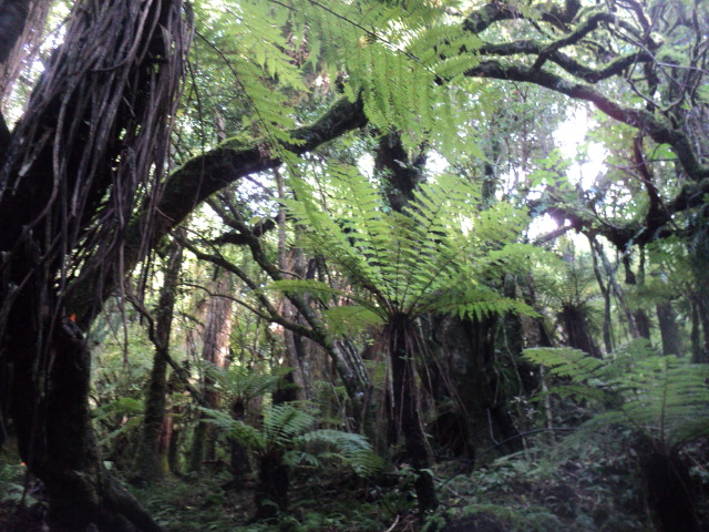Name:  picture 01 3843.jpg
Views: 418
Size:  164.8 KB