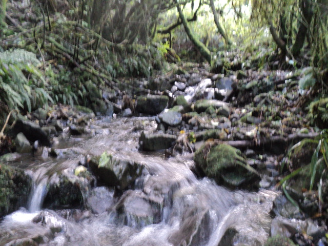 Name:  picture 01 3846.jpg
Views: 418
Size:  162.8 KB