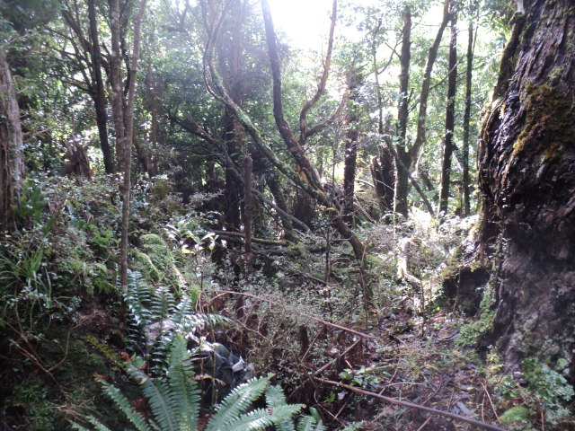 Name:  picture 01 3847.jpg
Views: 399
Size:  164.4 KB