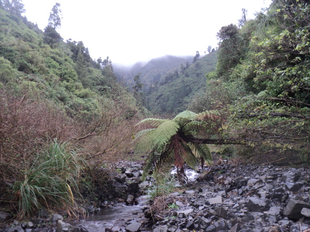 Name:  picture 01 3875.jpg
Views: 334
Size:  165.2 KB