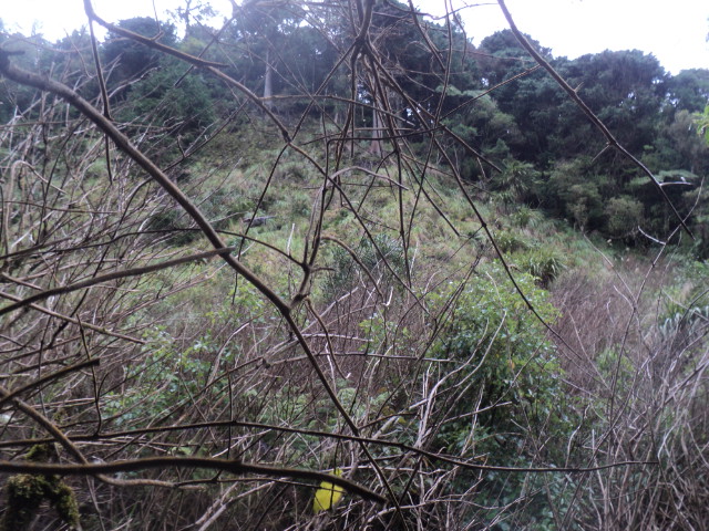 Name:  picture 01 3876.jpg
Views: 332
Size:  164.9 KB