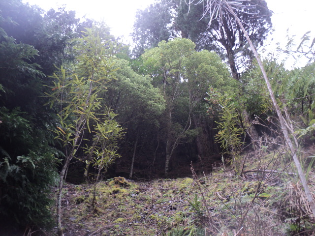 Name:  picture 01 3877.jpg
Views: 336
Size:  165.0 KB