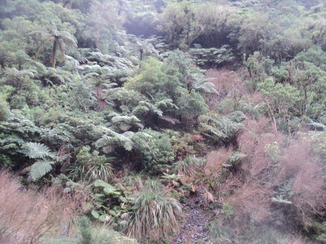 Name:  picture 01 3878.jpg
Views: 323
Size:  164.7 KB
