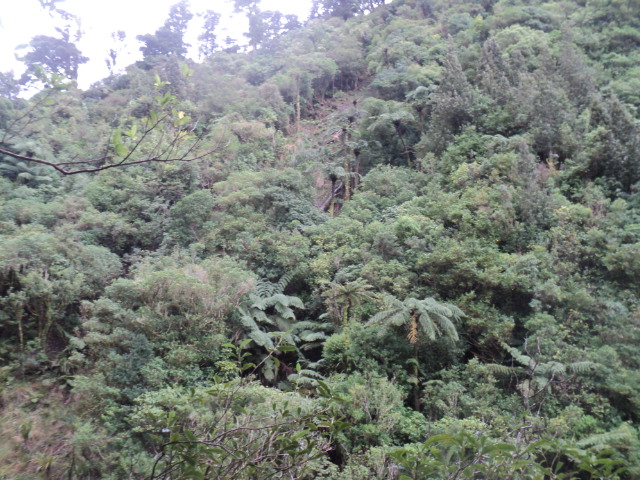 Name:  picture 01 3880.jpg
Views: 318
Size:  164.1 KB