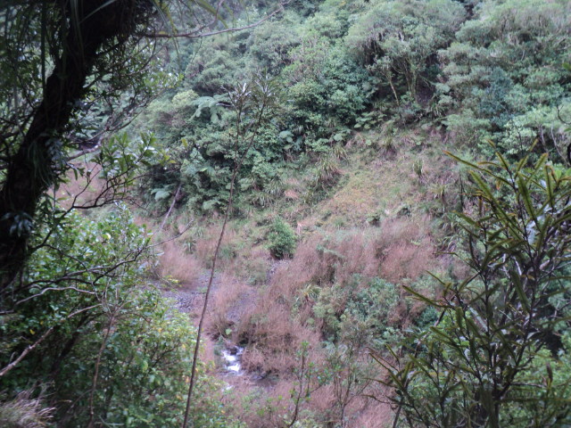 Name:  picture 01 3881.jpg
Views: 320
Size:  164.2 KB