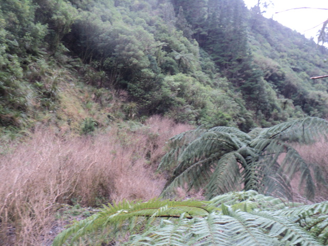Name:  picture 01 3882.jpg
Views: 334
Size:  165.3 KB