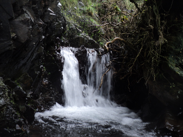 Name:  picture 01 3883.jpg
Views: 336
Size:  164.4 KB