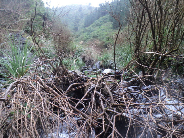 Name:  picture 01 3884.jpg
Views: 330
Size:  162.4 KB