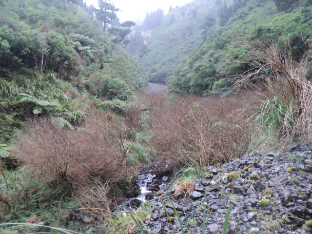 Name:  picture 01 3885.jpg
Views: 327
Size:  164.4 KB