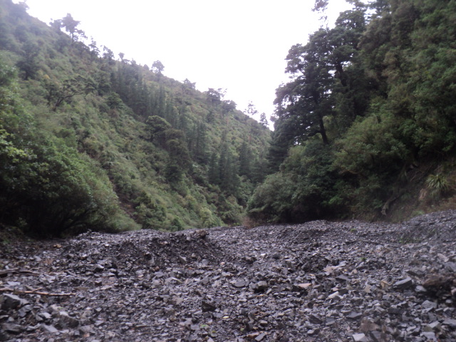 Name:  picture 01 3886.jpg
Views: 312
Size:  165.2 KB