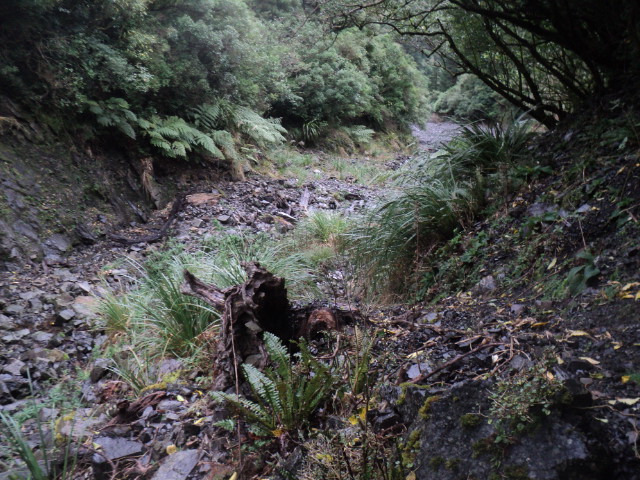 Name:  picture 01 3889.jpg
Views: 312
Size:  164.5 KB