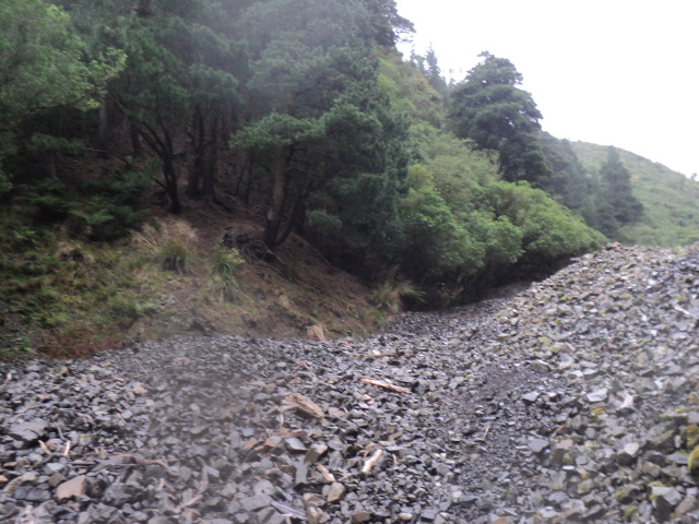 Name:  picture 01 3890.jpg
Views: 311
Size:  164.4 KB