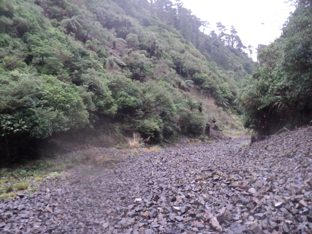 Name:  picture 01 3892.jpg
Views: 304
Size:  163.2 KB