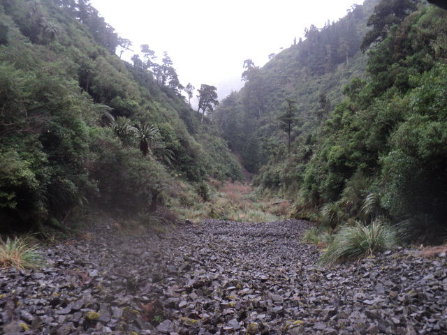 Name:  picture 01 3893.jpg
Views: 296
Size:  165.3 KB