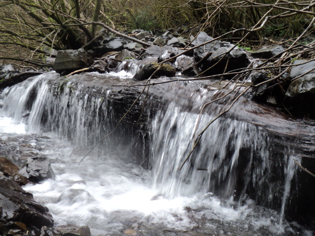 Name:  picture 01 3894.jpg
Views: 298
Size:  163.8 KB
