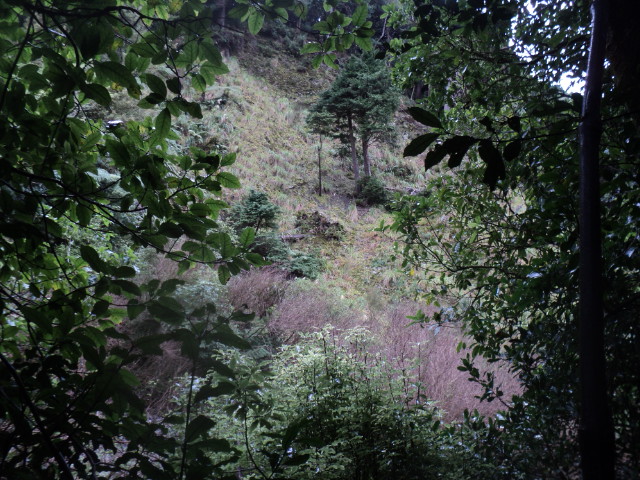 Name:  picture 01 3895.jpg
Views: 297
Size:  165.0 KB