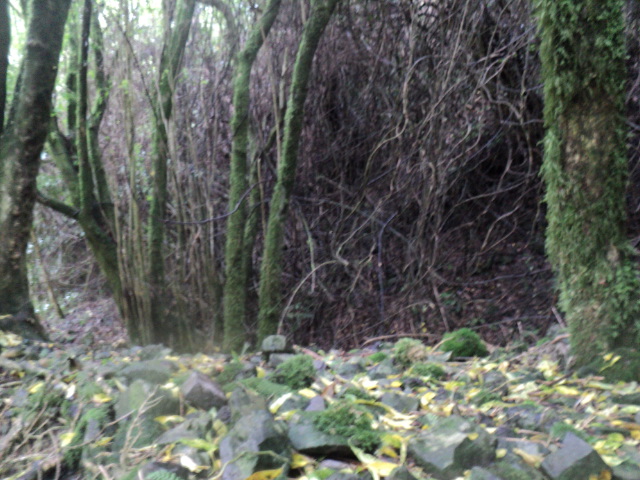 Name:  picture 01 3896.jpg
Views: 319
Size:  164.1 KB