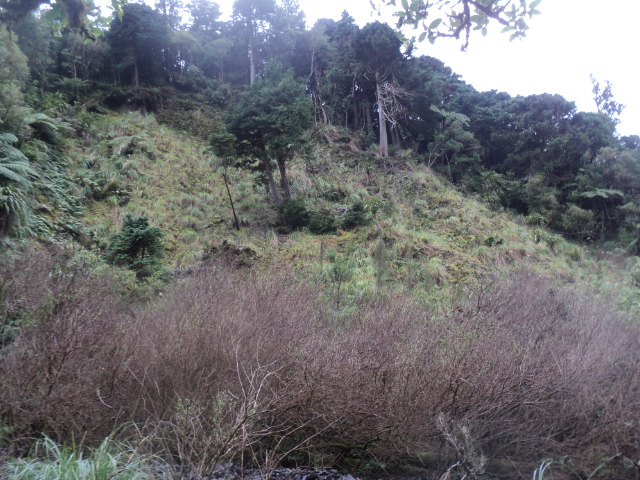 Name:  picture 01 3897.jpg
Views: 307
Size:  163.7 KB