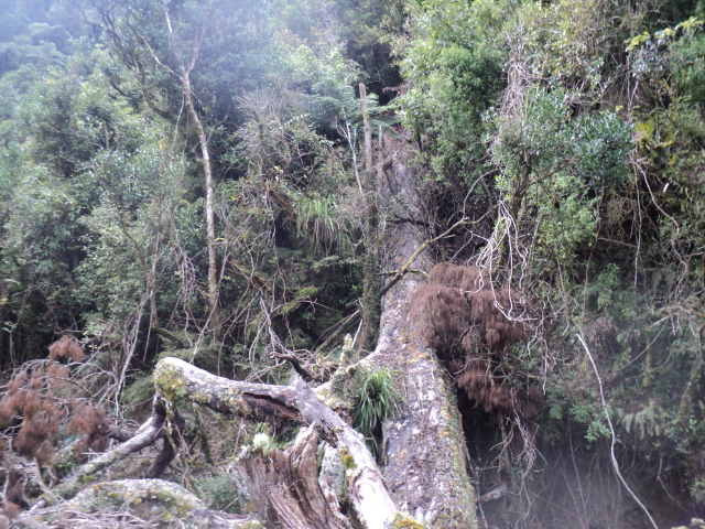 Name:  picture 01 3902.jpg
Views: 392
Size:  165.2 KB
