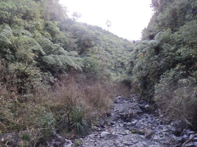 Name:  picture 01 3903.jpg
Views: 386
Size:  164.9 KB