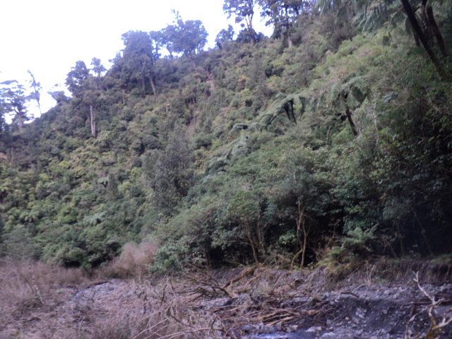 Name:  picture 01 3904.jpg
Views: 401
Size:  163.1 KB