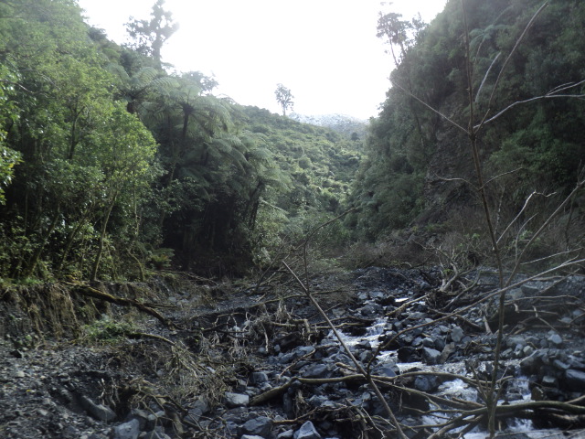Name:  picture 01 3905.jpg
Views: 393
Size:  163.0 KB