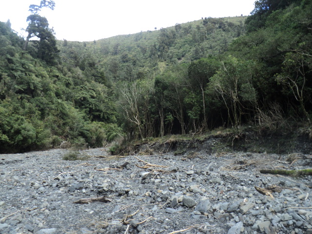 Name:  picture 01 3906.jpg
Views: 383
Size:  164.1 KB