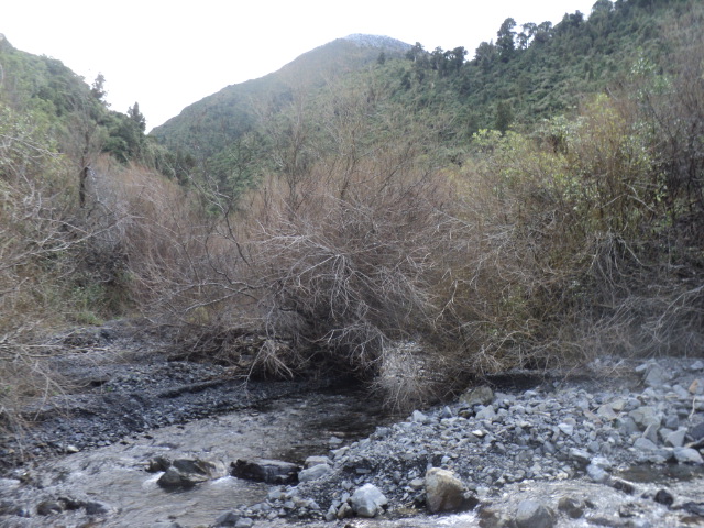 Name:  picture 01 3907.jpg
Views: 381
Size:  165.0 KB