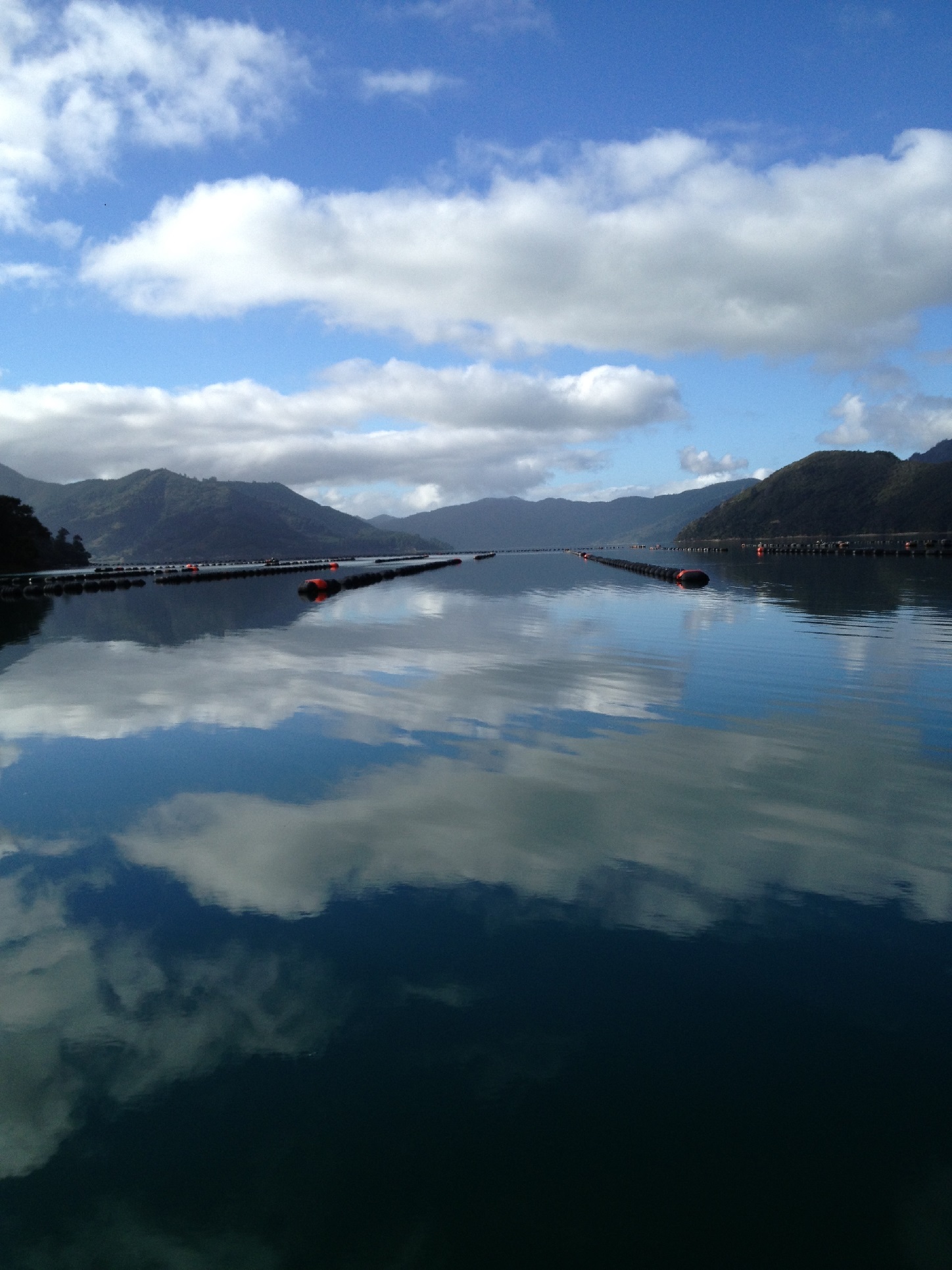 Name:  IMG_0130 - Copy.JPG
Views: 674
Size:  594.6 KB