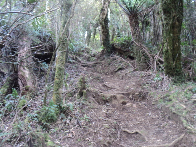 Name:  picture 01 4028.jpg
Views: 288
Size:  163.1 KB