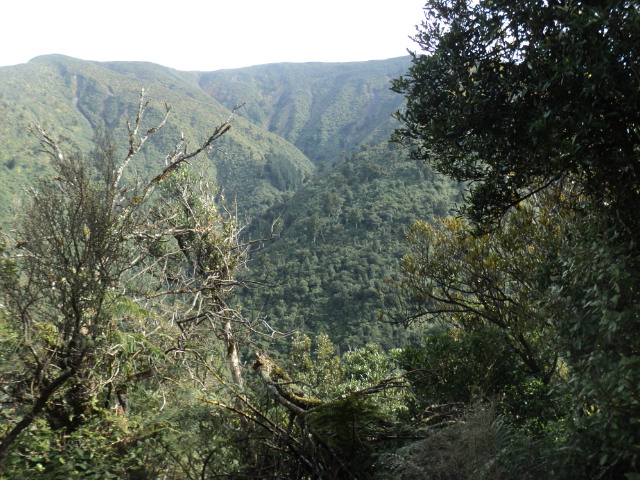 Name:  picture 01 4029.jpg
Views: 284
Size:  164.9 KB