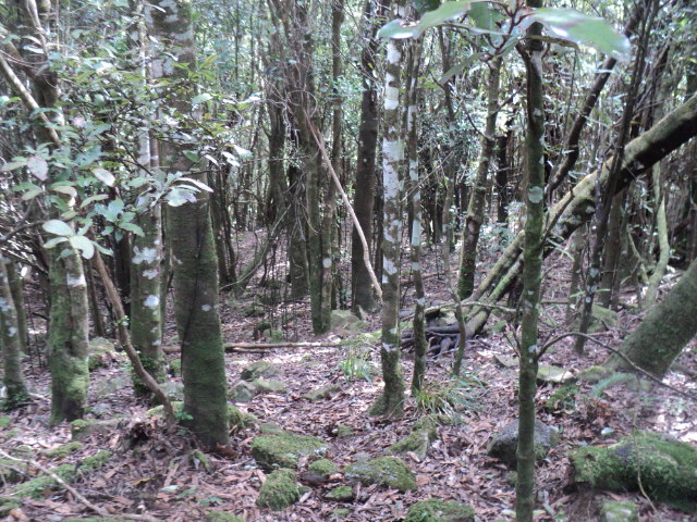 Name:  picture 01 4030.jpg
Views: 273
Size:  163.9 KB