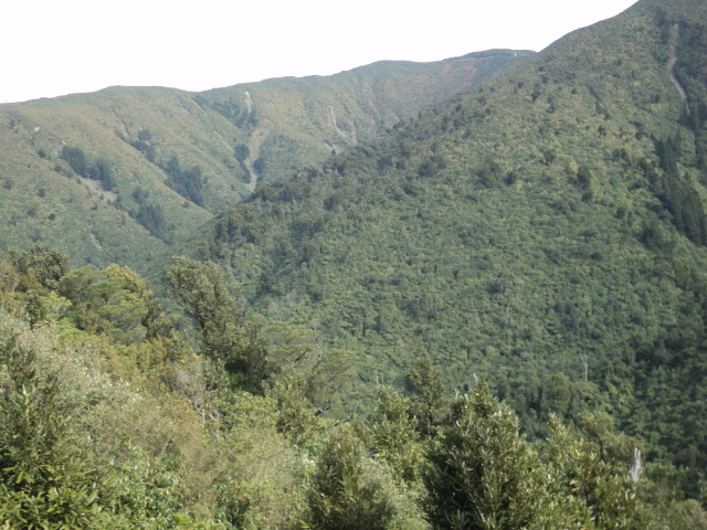 Name:  picture 01 4031.jpg
Views: 318
Size:  164.8 KB