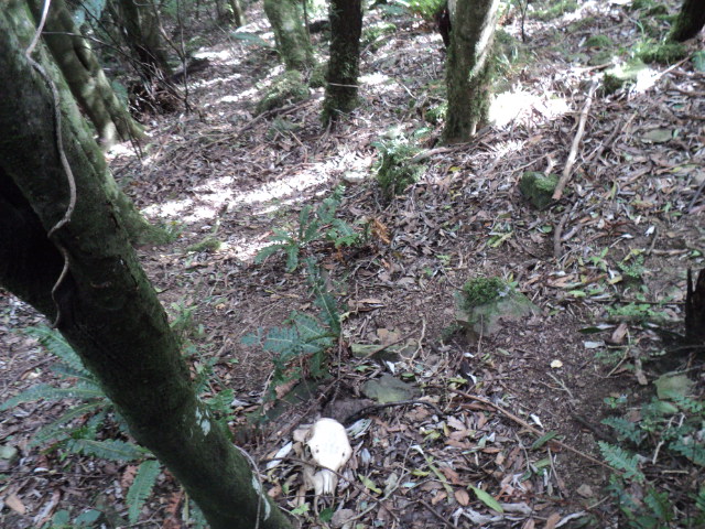 Name:  picture 01 4032.jpg
Views: 269
Size:  165.2 KB