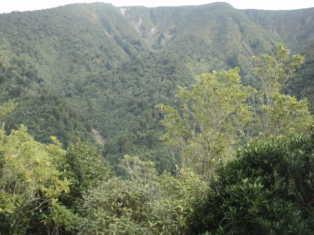 Name:  picture 01 4034.jpg
Views: 273
Size:  165.3 KB