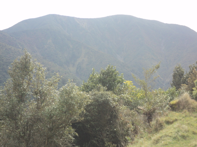 Name:  picture 01 4035.jpg
Views: 283
Size:  164.3 KB