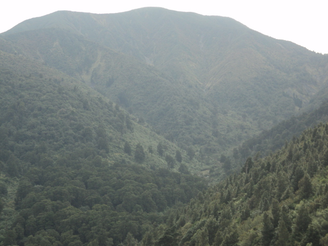 Name:  picture 01 4036.jpg
Views: 281
Size:  161.4 KB