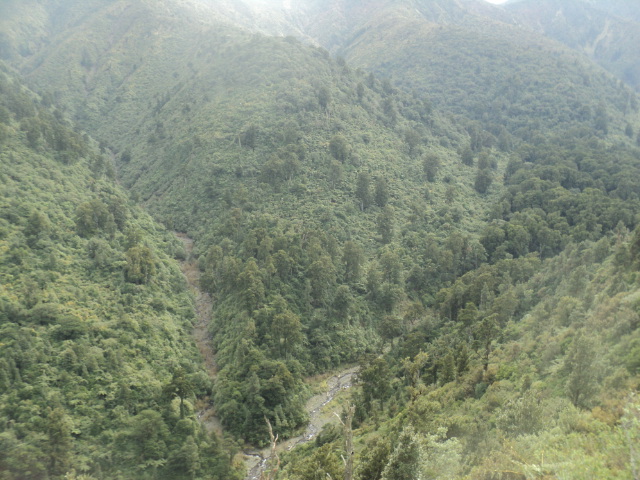 Name:  picture 01 4037.jpg
Views: 269
Size:  165.2 KB