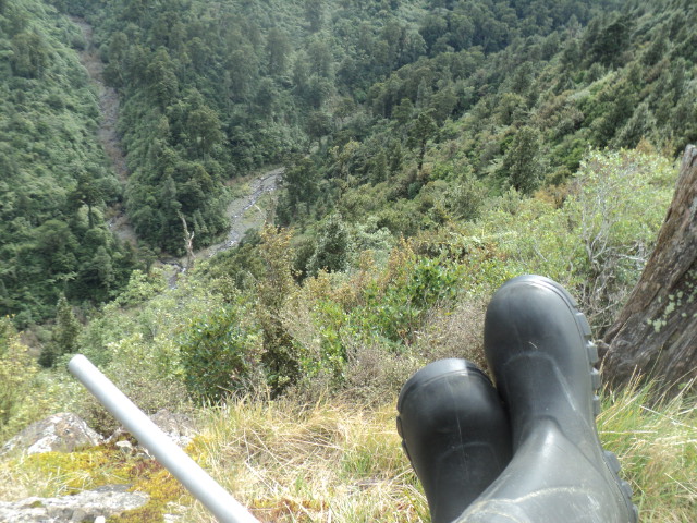 Name:  picture 01 4039.jpg
Views: 265
Size:  163.2 KB