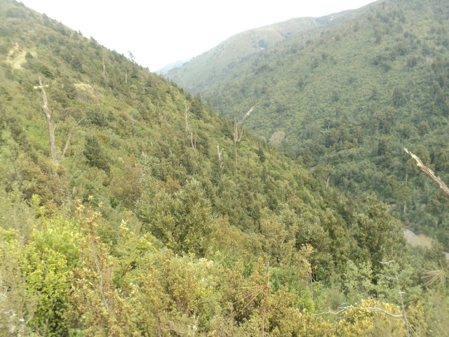 Name:  picture 01 4042.jpg
Views: 288
Size:  164.0 KB