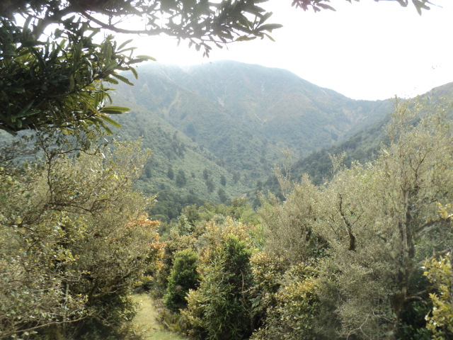 Name:  picture 01 4043.jpg
Views: 270
Size:  164.8 KB