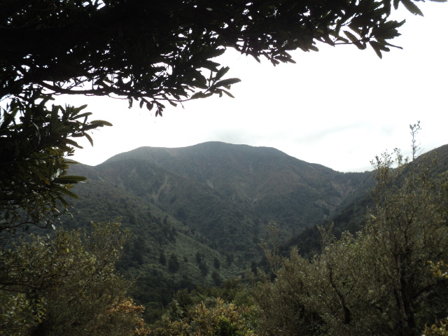 Name:  picture 01 4044.jpg
Views: 289
Size:  164.5 KB