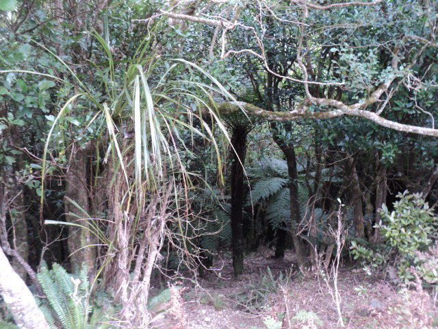 Name:  picture 01 4045.jpg
Views: 273
Size:  164.3 KB