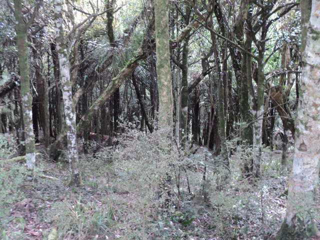 Name:  picture 01 4046.jpg
Views: 316
Size:  163.8 KB