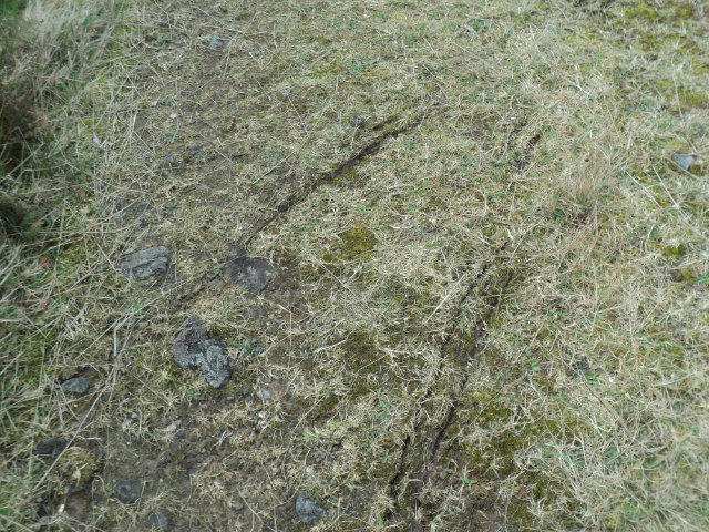 Name:  picture 01 4047.jpg
Views: 268
Size:  163.6 KB